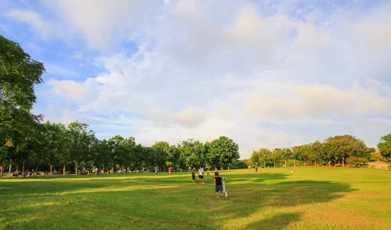台中免費親子景點