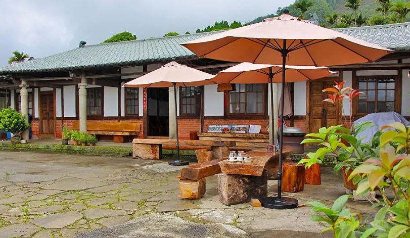 嘉義咖啡莊園巡禮：從產地到杯子的風土之旅