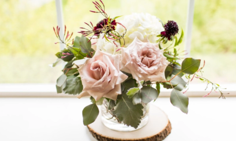 辦公室綠化風水