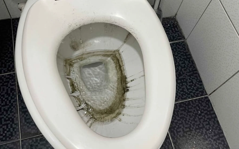 馬桶水箱發霉