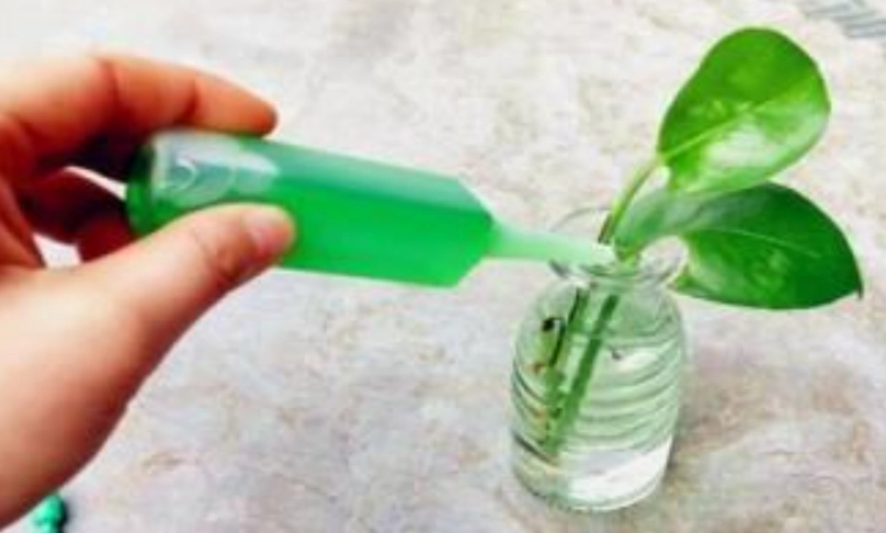 水培營養液自製全攻略：省錢配方與新手避坑指南