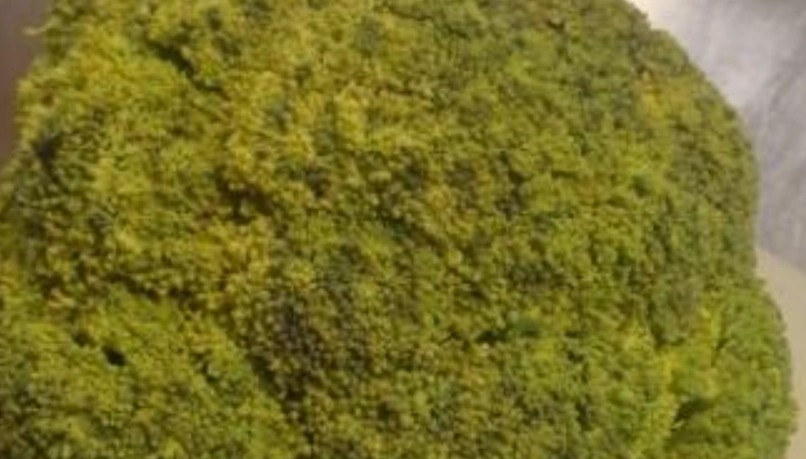 花椰菜保存方法