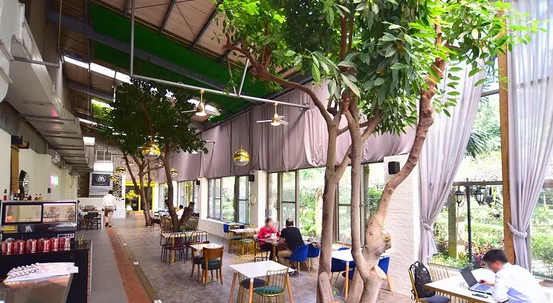 桃園 不限時 咖啡廳