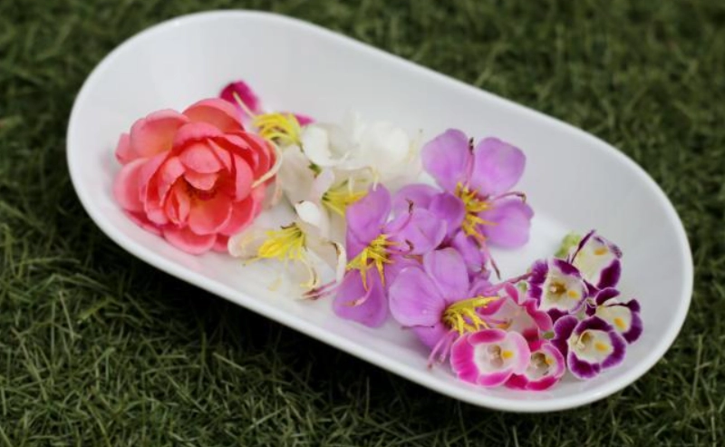 可食用花卉 可食用花卉