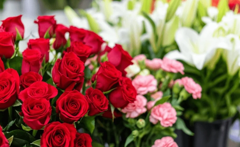 花語查詢 花語查詢