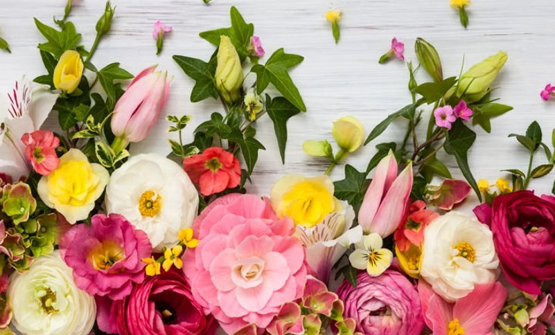 送花指南 送花指南