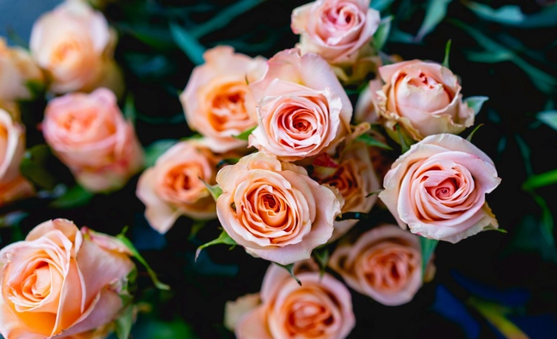 送花指南 送花指南