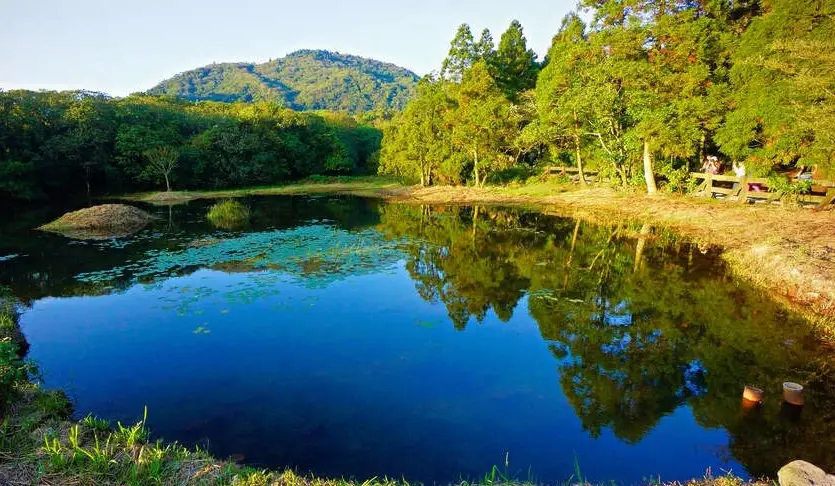親子農場一日遊 親子農場一日遊