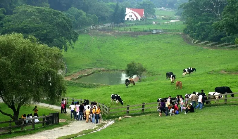 中部親子農場一日遊