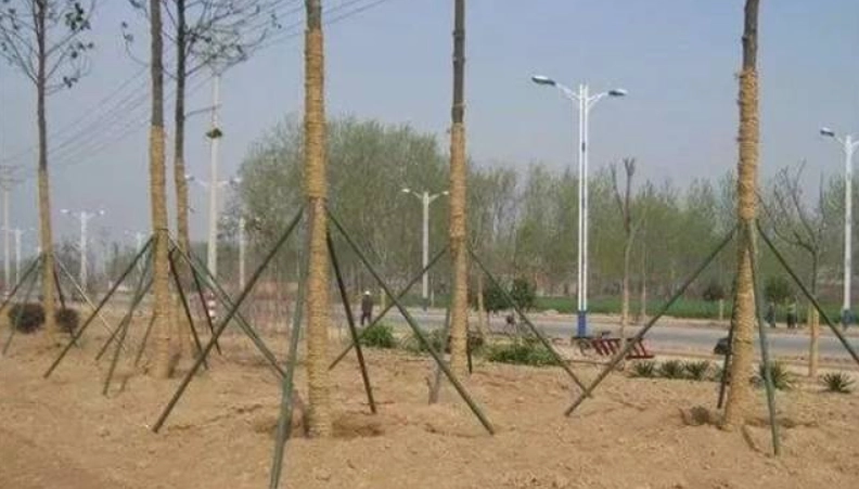 樹木支撐架材料選擇