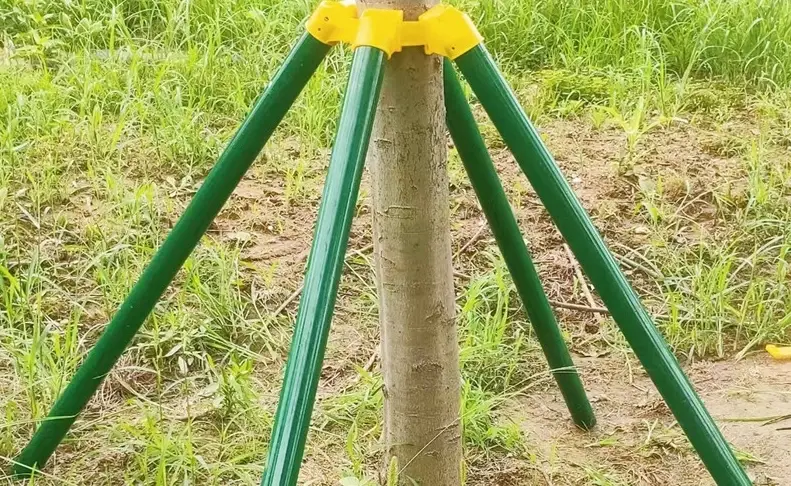 樹木支撐架安裝