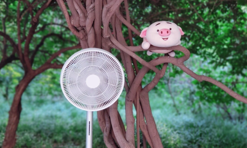 室內植物通風