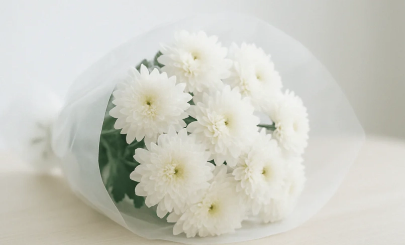 花卉祝福語 花卉祝福語