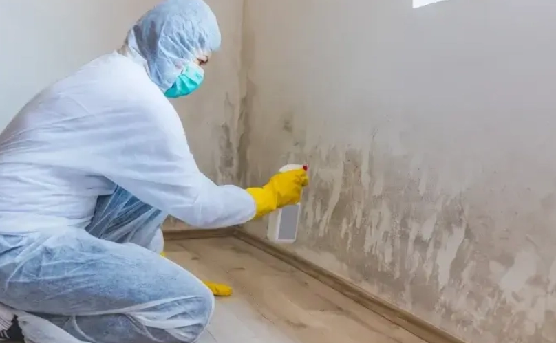 牆壁發霉直接上漆