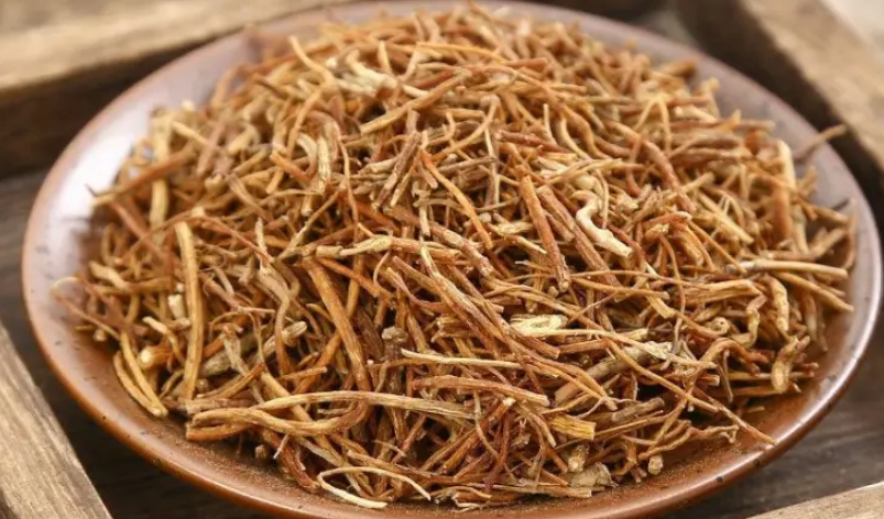 龍膽桔禁忌