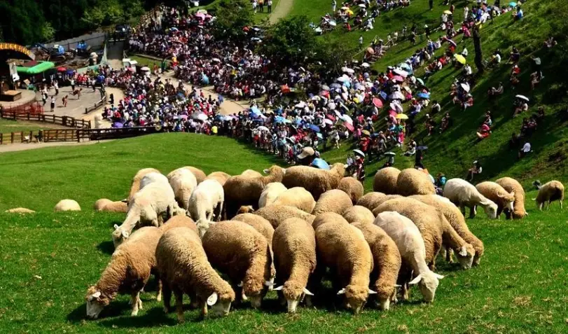 屏東農場一日遊