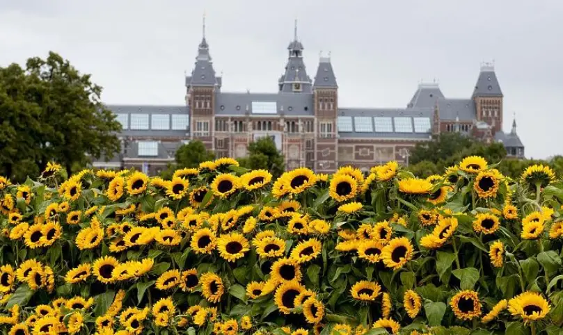 梵高博物館交通