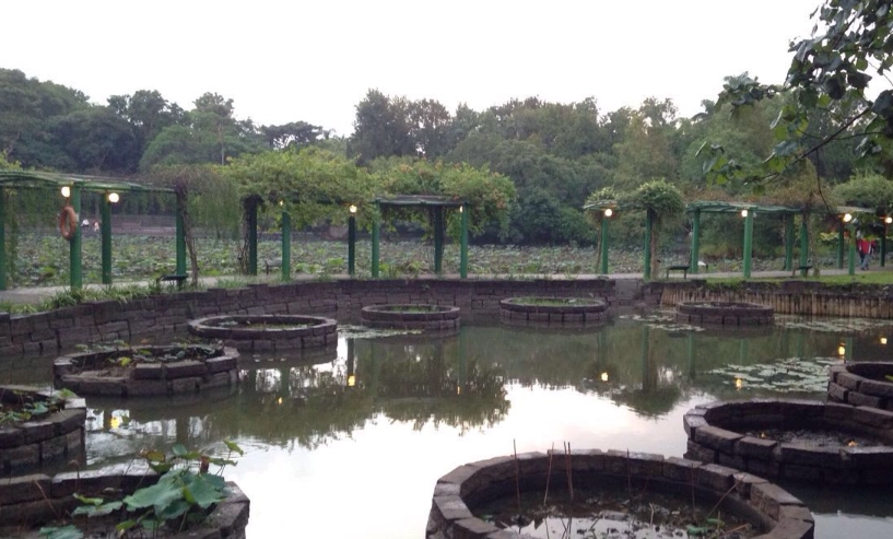 植物園 旅遊指南