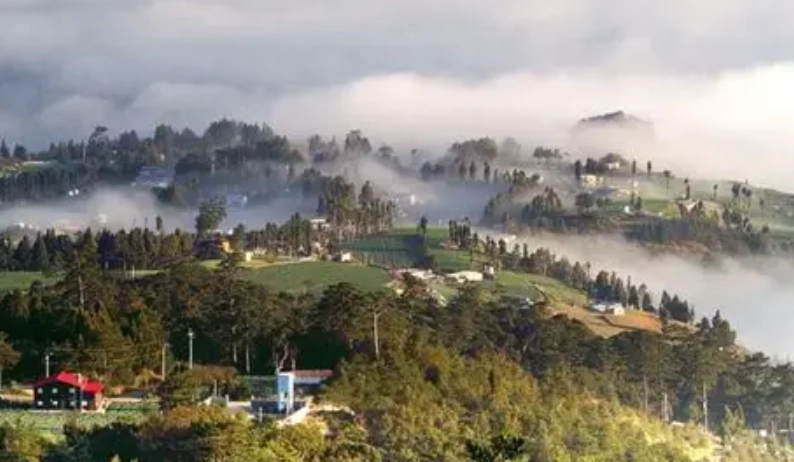 屏東農場一日遊