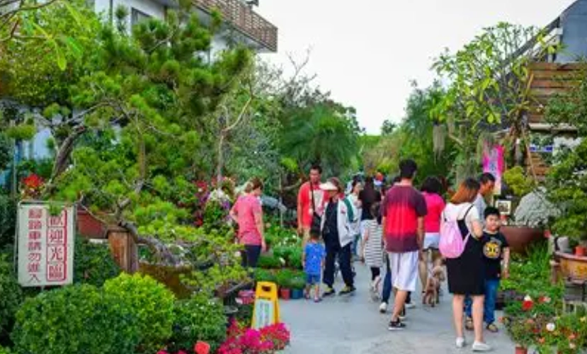 台中親子一日遊