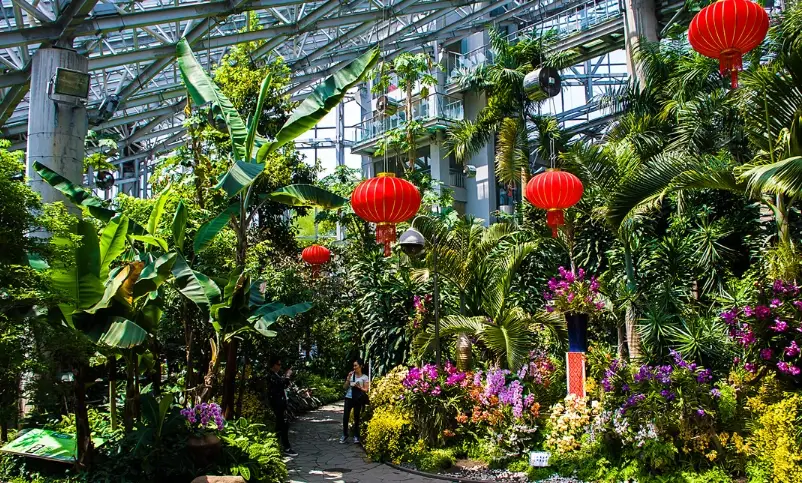台北植物園 導覽