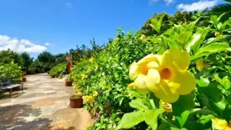 沖繩必去景點