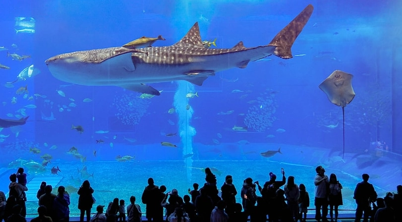 沖繩自由行攻略