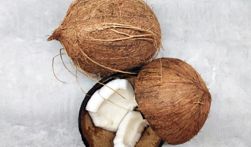 椰子肉功效中醫