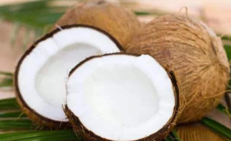 椰子不能和什麼一起吃