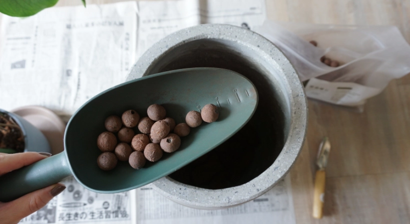 龜背芋 土 推薦