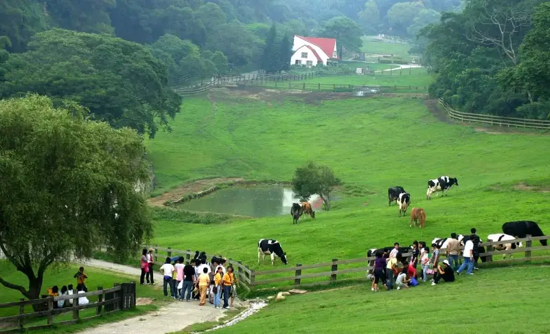 苗栗一日遊免費