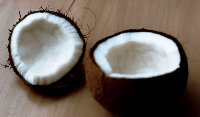 椰子不能和什麼一起吃