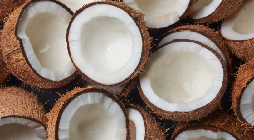 椰子不能和什麼一起吃