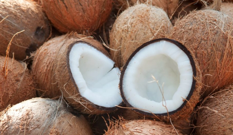 椰子肉 中醫 功效