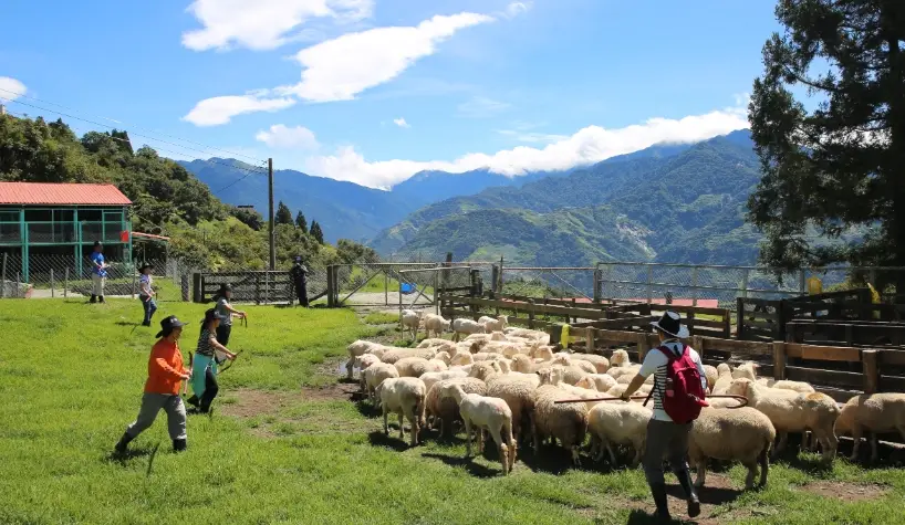 台灣農場旅遊