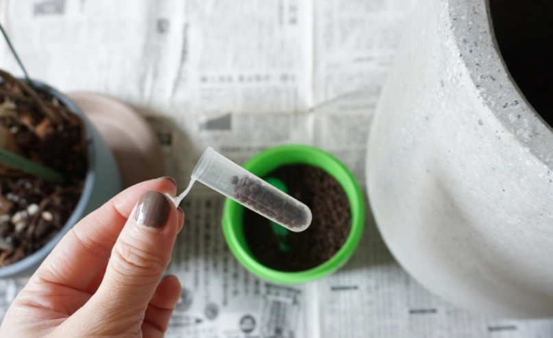 龜背芋 專用土 哪裡買