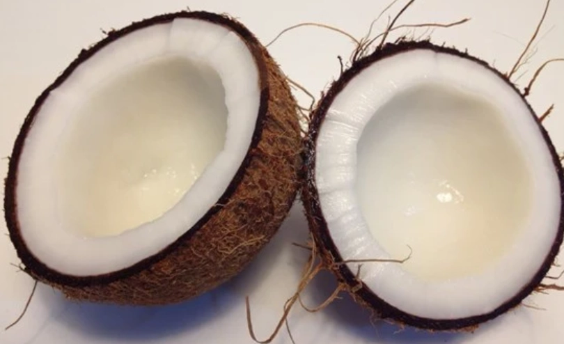 椰子肉禁忌