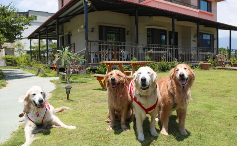 寵物友善民宿推薦