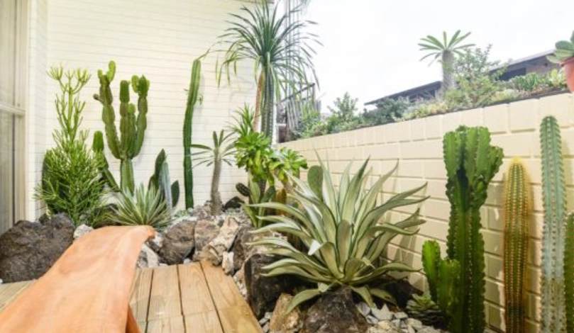 小陽台植物佈置