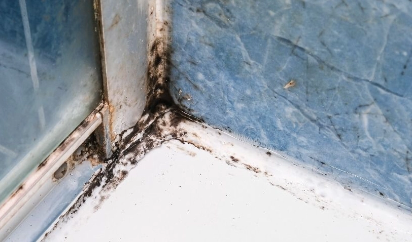 浴室矽膠發霉清除