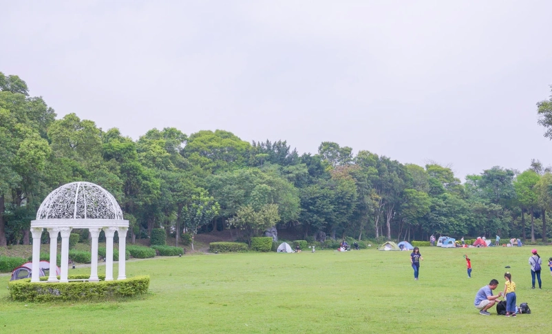 農場體驗 農場體驗