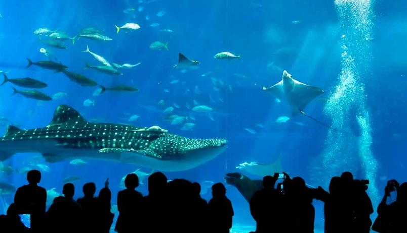 沖繩 不自駕 交通