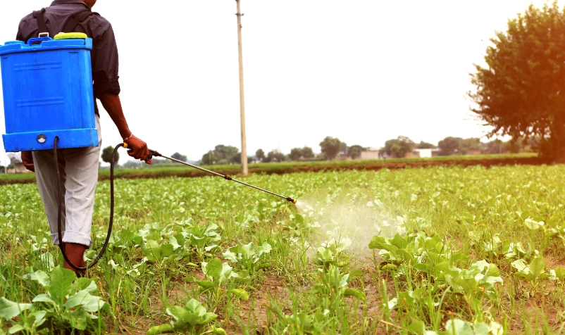 硼肥 使用方法 硼肥 使用方法