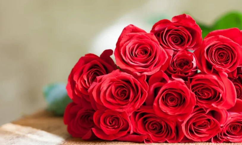 送幾朵玫瑰 送幾朵玫瑰