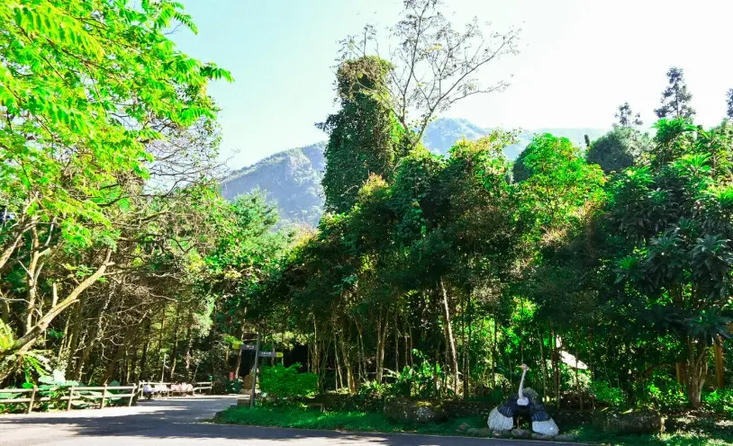 台中室內遊樂園