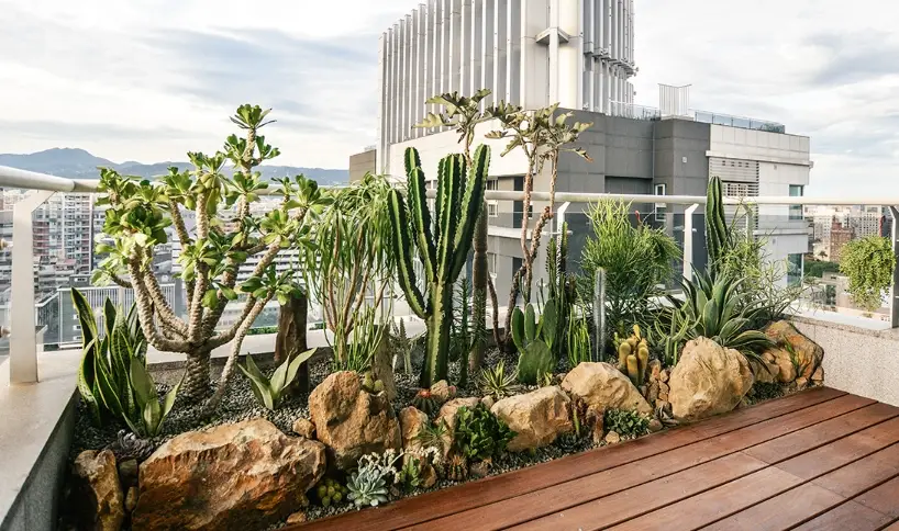 小陽台植物佈置 小陽台植物佈置