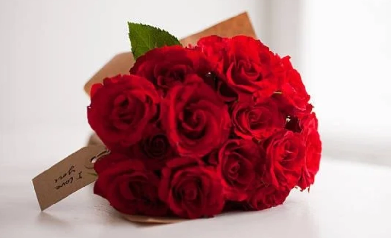 玫瑰花數量含義 玫瑰花數量含義