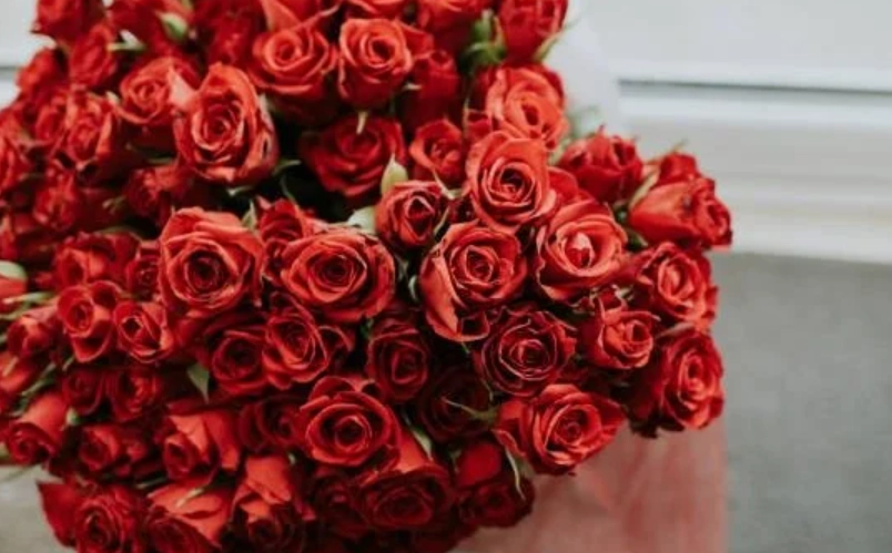 玫瑰花數量含義 玫瑰花數量含義