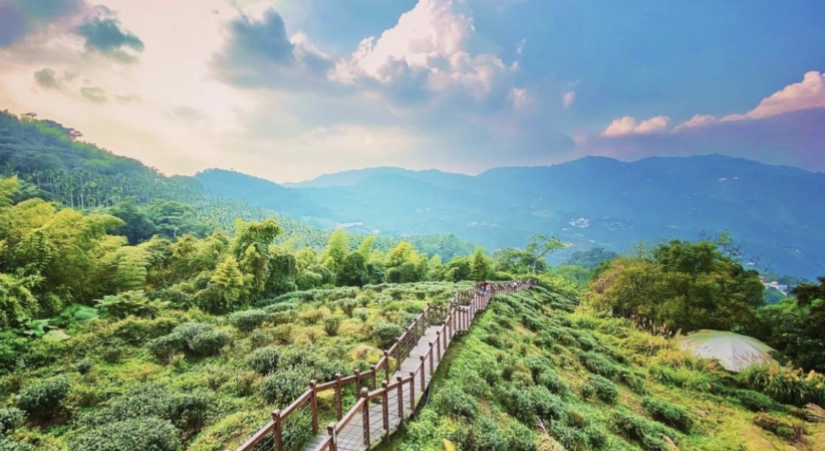 嘉義景點 年輕人 嘉義景點 年輕人