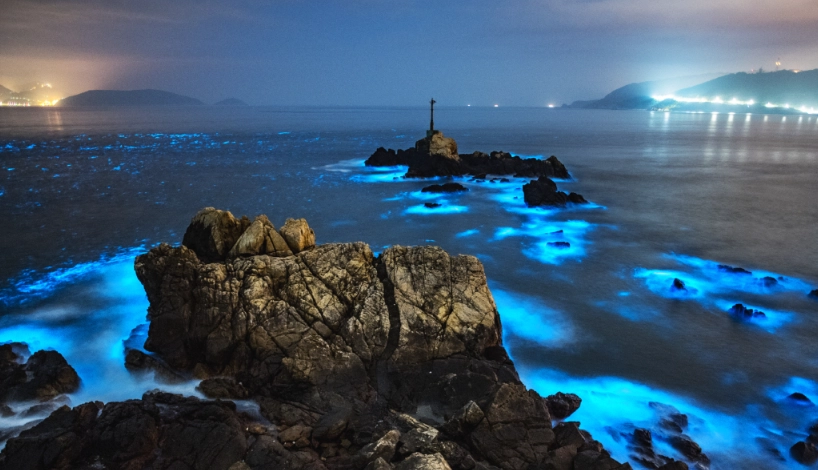 藍眼淚觀賞地點